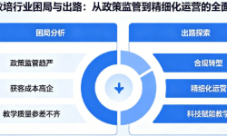 教培行业困局与出路：从政策监管到精细化运营的全面解析